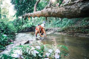 BIB: 
                            <button type="button" onclick="openModal(25432770)" class="btn btn-primary btn-sm float-right btn-popup" data-toggle="modal" data-target=".modal-high-quality">
                        <i class="fas fa-shopping-cart"></i> Add to Cart
                    </button>
                                            <button type="button" onclick="isThisMe(25432770, true)" class="btn btn-success btn-sm float-right btn-popup btn-isme hidden" data-toggle="tooltip" data-placement="bottom" title="นี่คือรูปของคุณใช่ไหม คลิกที่นี่เพื่อเอาเข้าอัลบั้ม">
                        <i class="fas fa-plus"></i> Add to album
                    </button>
                    <button type="button" onclick="isThisMe(25432770, false)" class="btn btn-warning btn-sm float-right btn-popup btn-isnotme hidden">
                        <i class="fas fa-ban"></i> Remove from album
                    </button>